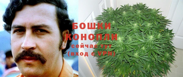 стафф Балабаново