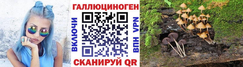 Псилоцибиновые грибы Cubensis  магазин продажи наркотиков  Чекалин 